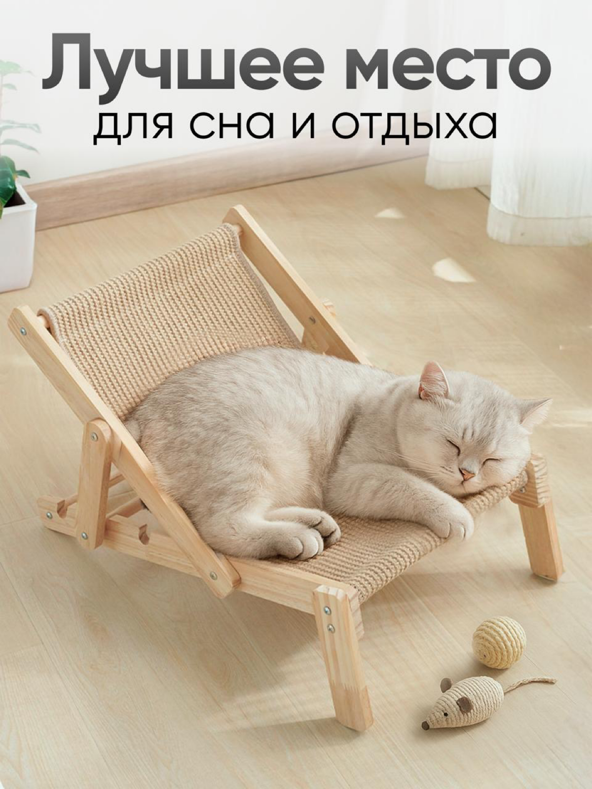 Сделать качественный визуал без фотосессии — реально? | Сетка — социальная сеть от hh.ru