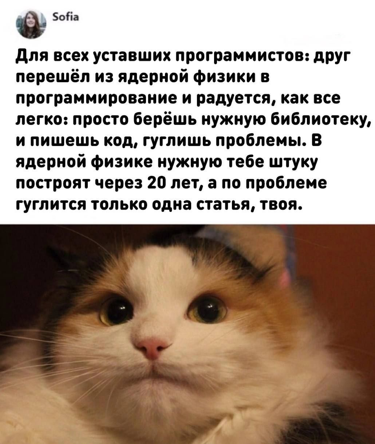 💊 от уныния | Сетка — социальная сеть от hh.ru