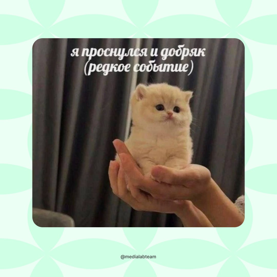 Когда как следует отдохнул на майских праздниках и теперь снова готов брать на себя ответственность, созваниваться с коллегами и работать с горящими глазами 👉
@medialabteam 🤍 | Сетка — социальная сеть от hh.ru