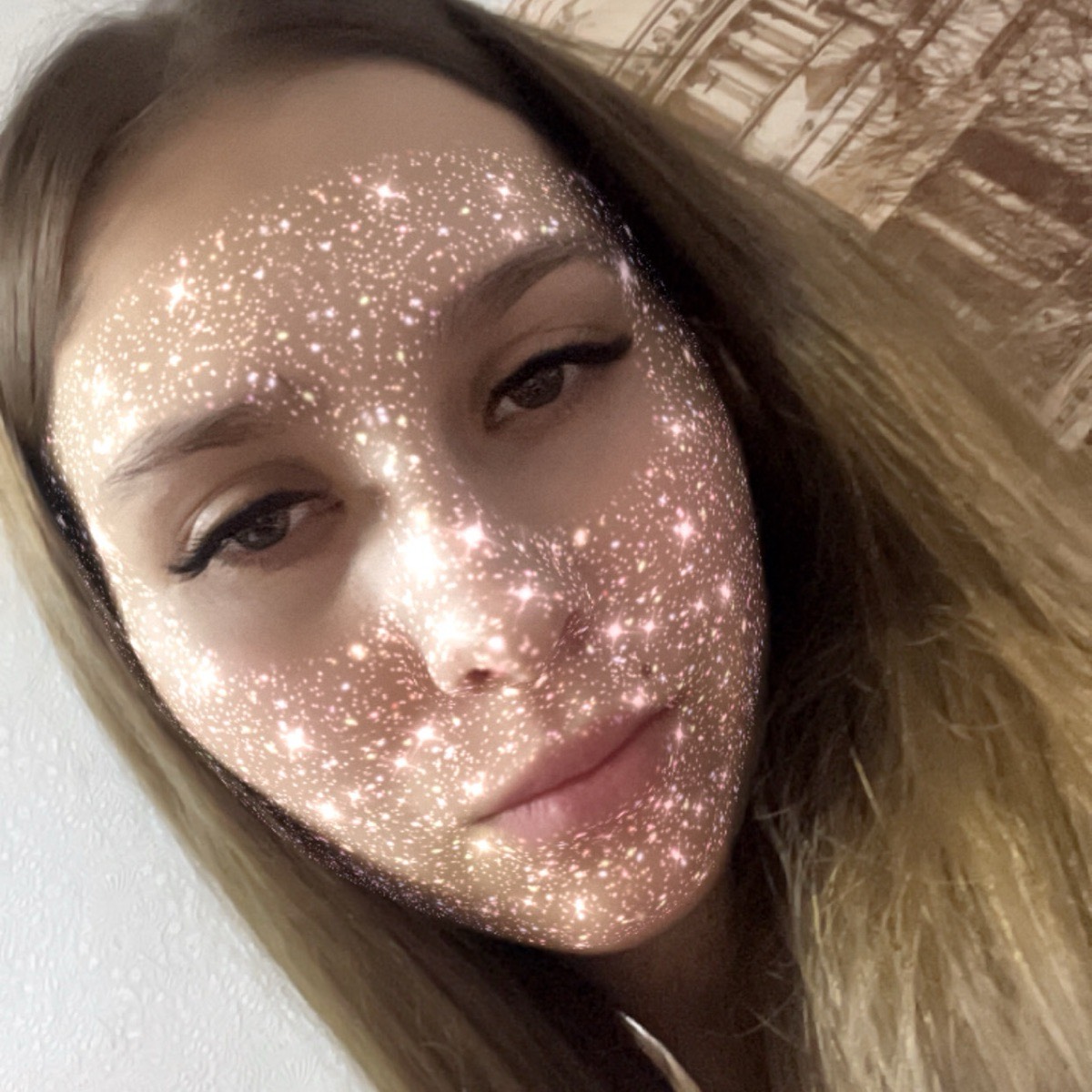Снежана Агеева