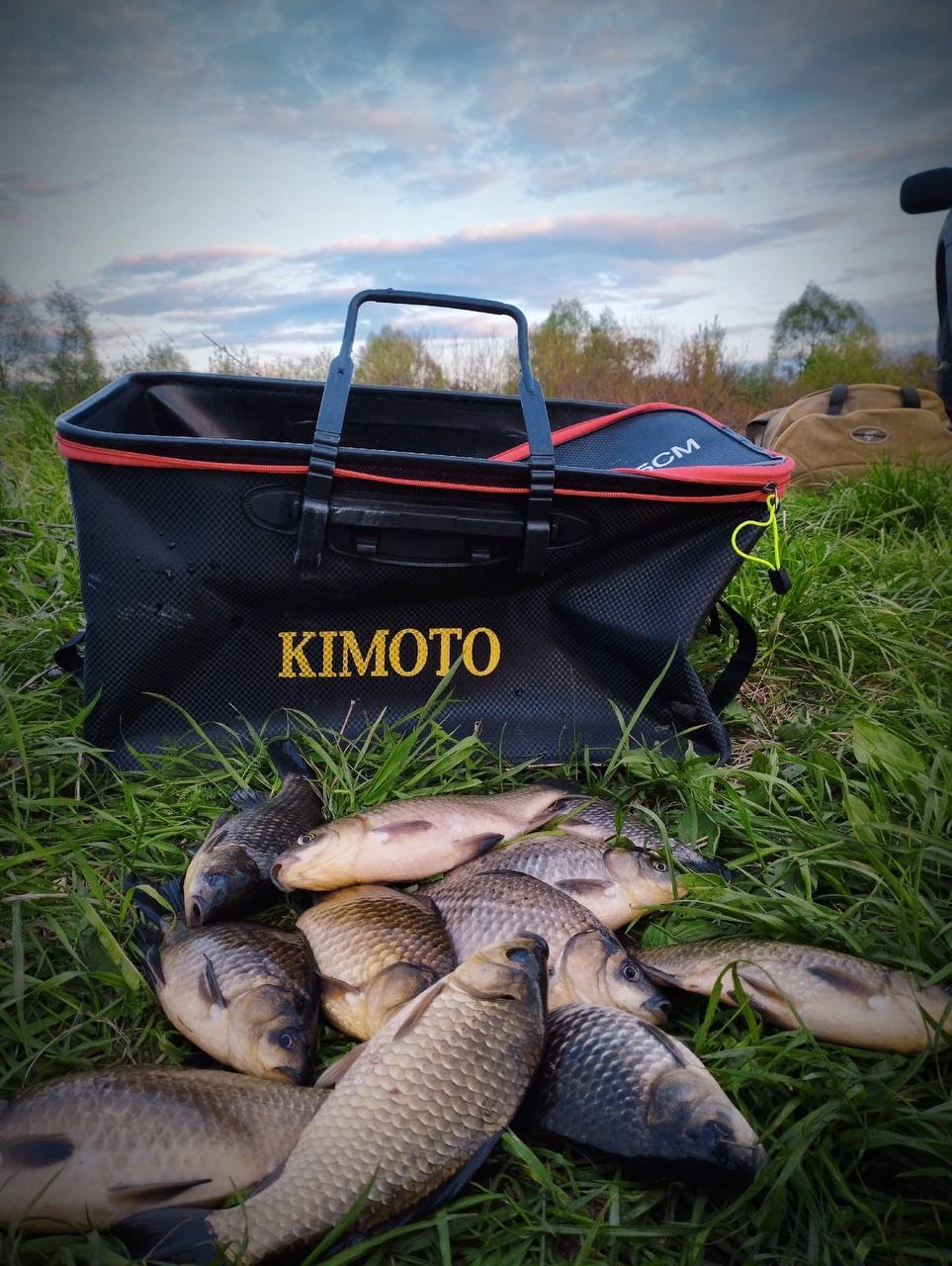 Выбрались вчера с мужем на вечерку 🎣🤗
Муж на фидер. Я на поплавочную удочку🎣
В итоге поплавок остался в лидере 😅
Клевали отличные кабанчики, которых приятно тащить ☺
От Василисы Кузнецовой | Сетка — социальная сеть от hh.ru