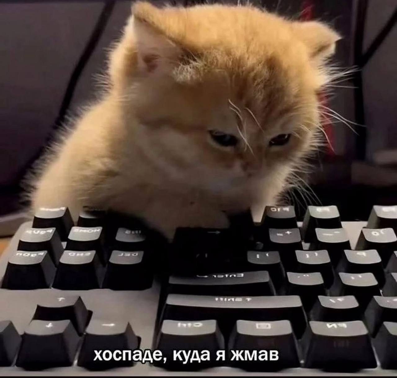 Периодически тупить на работе - нормально | Сетка — социальная сеть от hh.ru