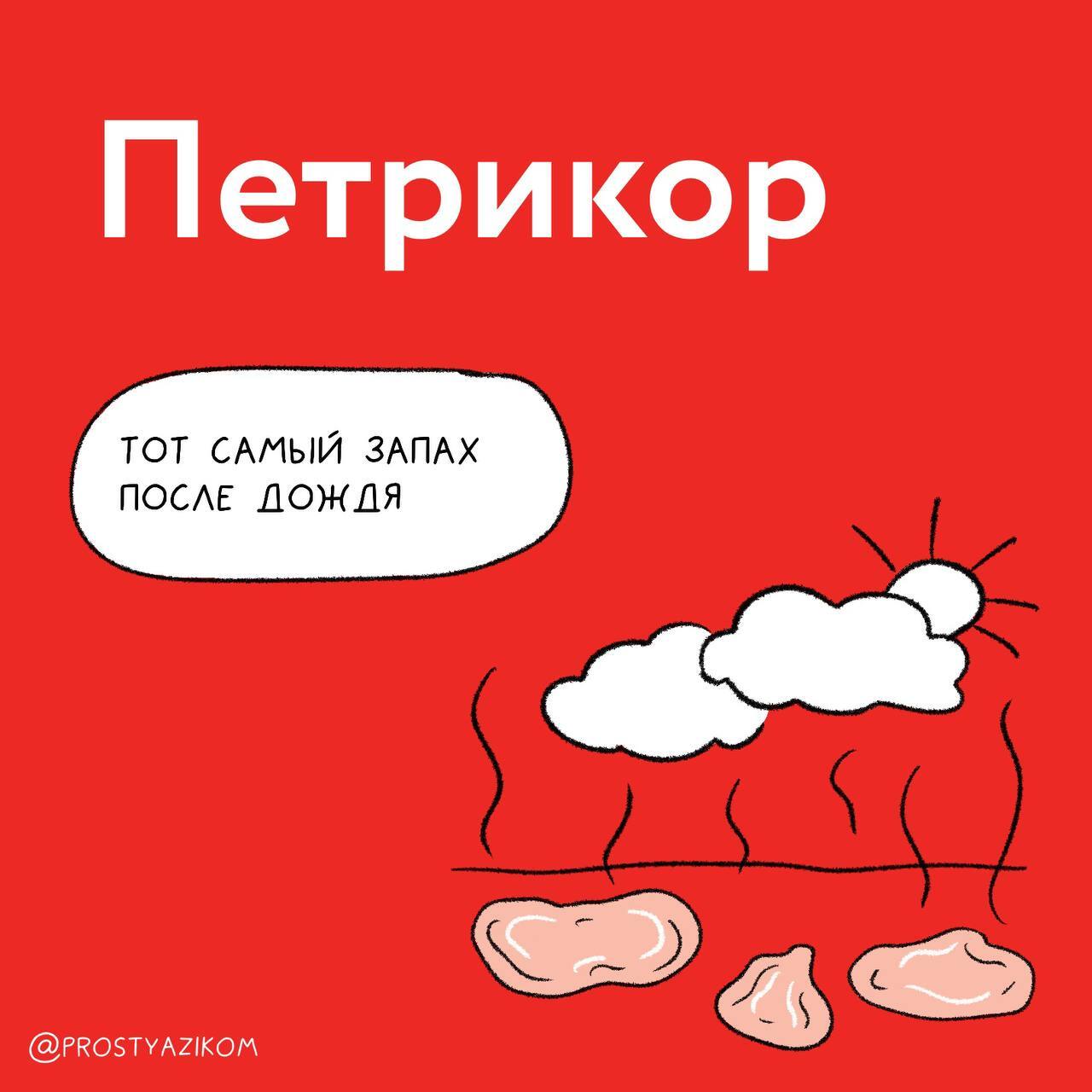 😓 «Пипидастр», «петрикор» и «фриссон» – такие слова вообще существуют?
Русский язык настолько необъятный, что невозможно знать даже близко все слова.
⚠️Простым языком (https://t | Сетка — социальная сеть от hh.ru