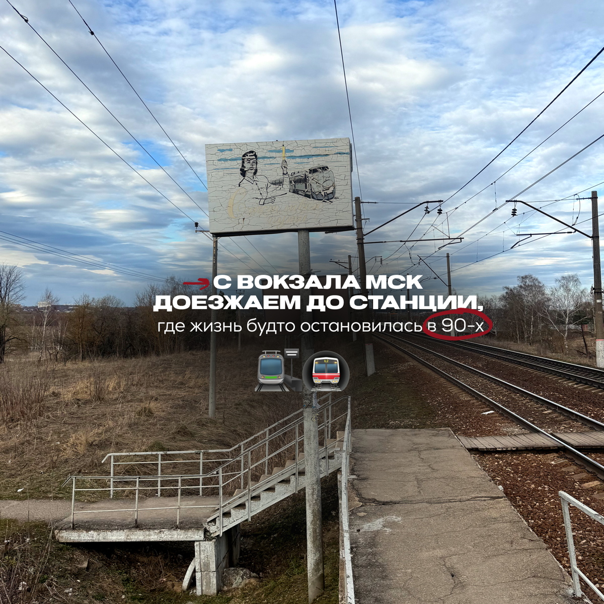 1 день в лесу оплачиваемой стажировки бренд-маркетолога | Сетка — социальная сеть от hh.ru