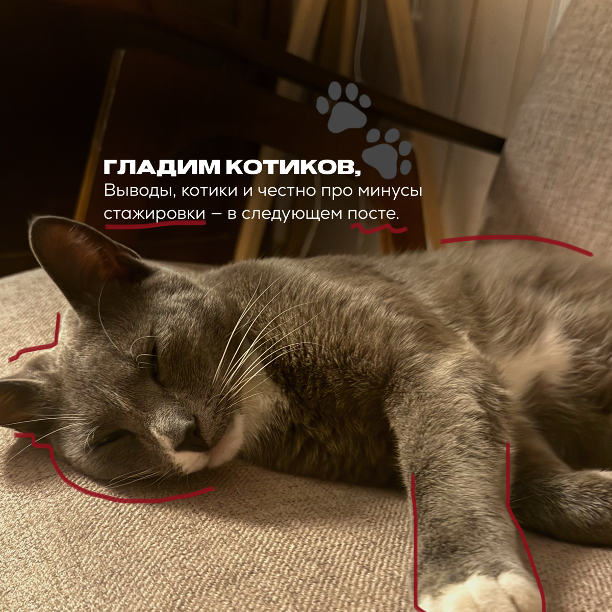 1 день в лесу оплачиваемой стажировки бренд-маркетолога | Сетка — социальная сеть от hh.ru