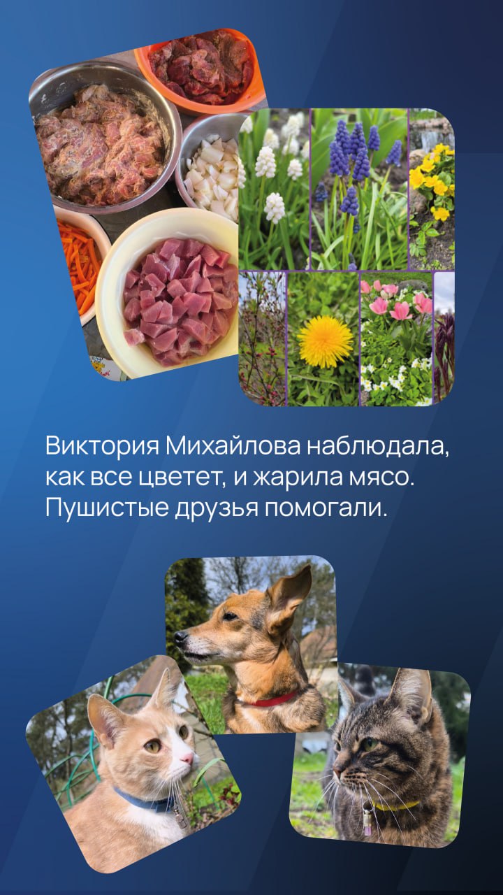 «Давайте после майских» наступило ⏰Ⓜ️
Пока еще не все ушли с головой в задачи, показываем, как наши сотрудники отдохнули на майских праздниках | Сетка — социальная сеть от hh.ru
