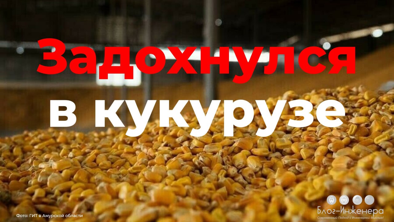 🆘 Сокрытый работодателем несчастный случай признан связанным с производством
30.04 | Сетка — социальная сеть от hh.ru