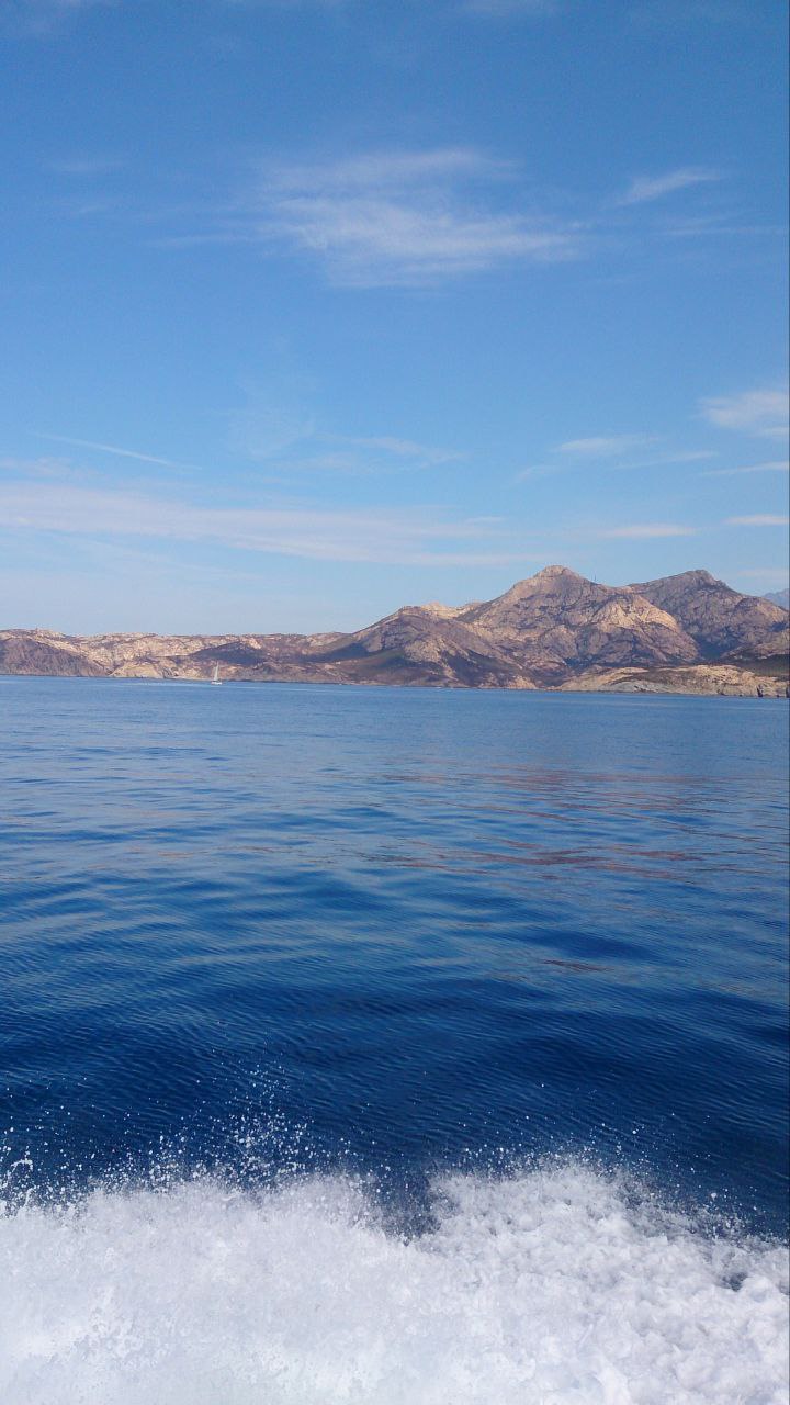 ♨️Как подтягиваются события. Порой весьма неожиданные…
Я 200 лет зарегистрирована на сайтах знакомств с иностранцами. Не то, чтобы я сильно рвалась замуж, скорее, наоборот | Сетка — социальная сеть от hh.ru