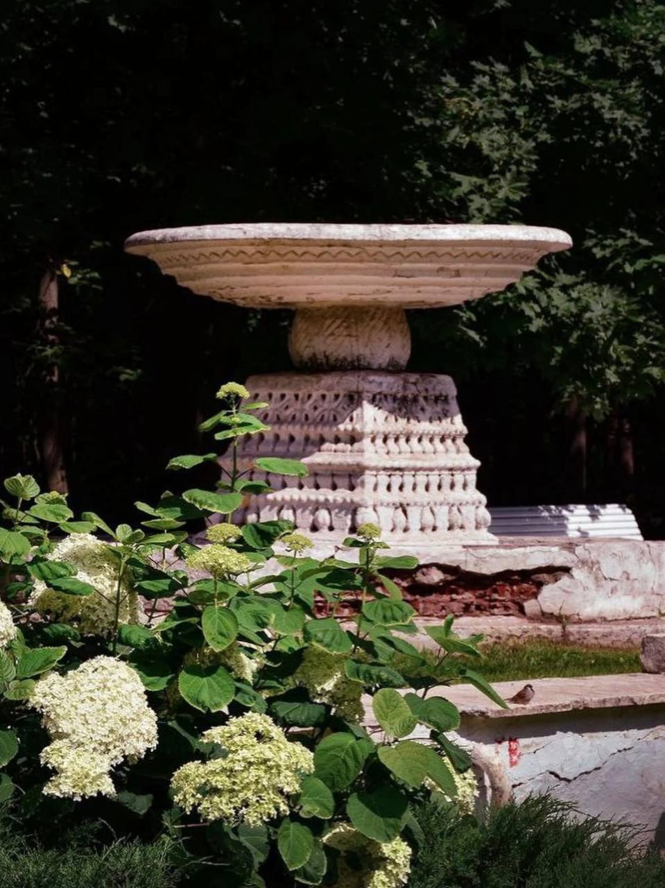 🌳Прогулка по Нескучному саду
Круглосуточно
Здесь можно прогуляться у Екатерининского пруда, полюбоваться Охотничьим и Летним домиками, дойти до Александринского дворца и, конечно же, сделать фото в ок... | Сетка — социальная сеть от hh.ru