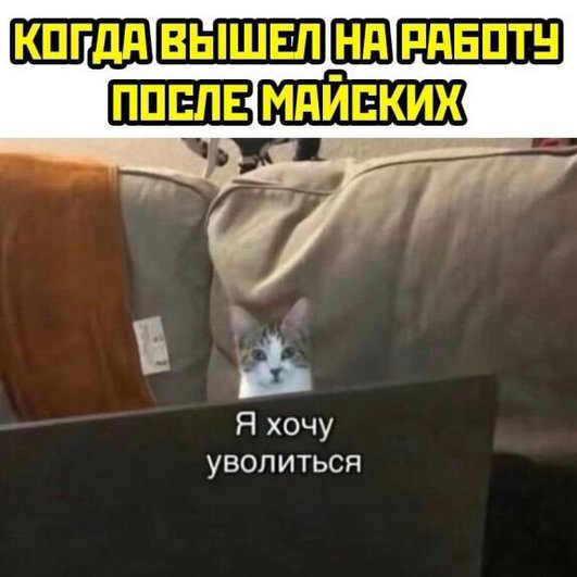 Как прошел Ваш первый рабочий день после майских?) | Сетка — социальная сеть от hh.ru