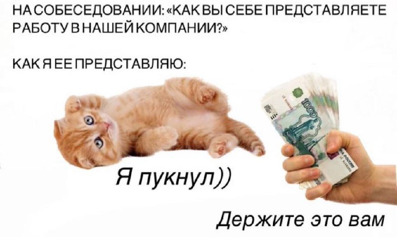 Нагял зумера | Сетка — социальная сеть от hh.ru