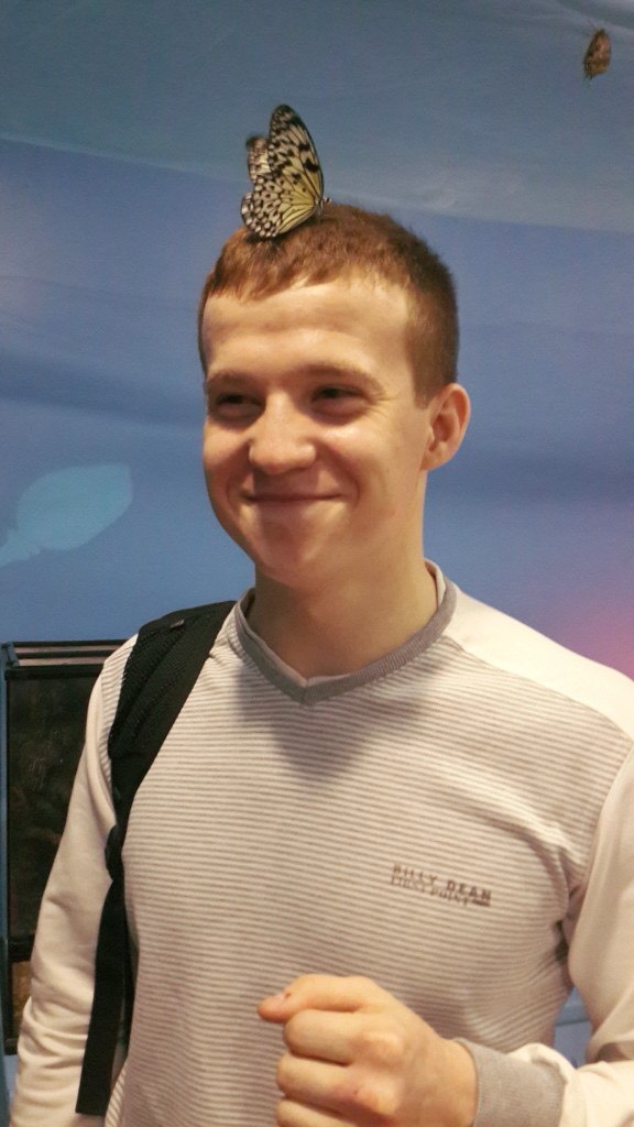 Даниил Топольский | Сетка — социальная сеть от hh.ru