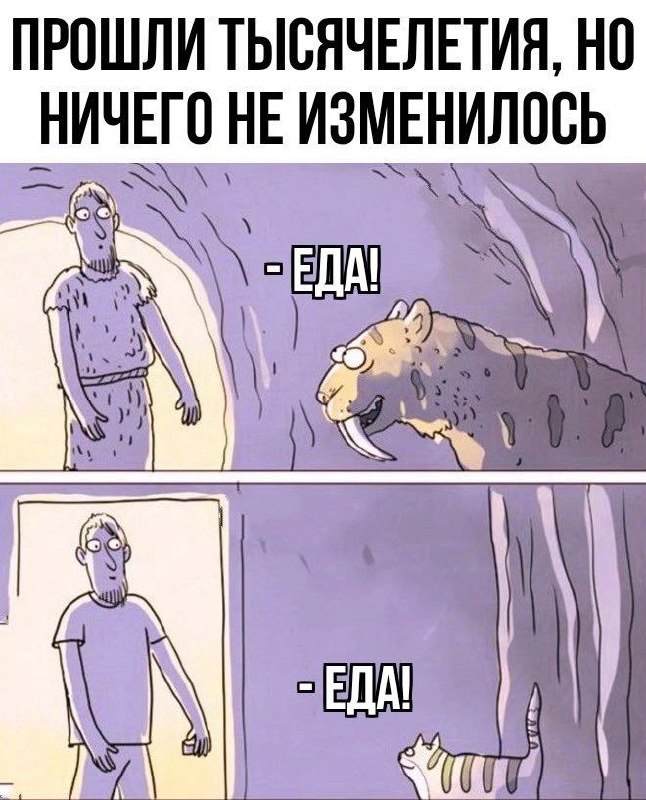 Мемный вторник!
А вас какие мемы зацепили на этой неделе?
#funny | Сетка — социальная сеть от hh.ru