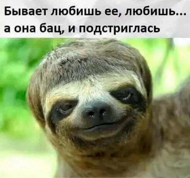 Мемный вторник!
А вас какие мемы зацепили на этой неделе?
#funny | Сетка — социальная сеть от hh.ru