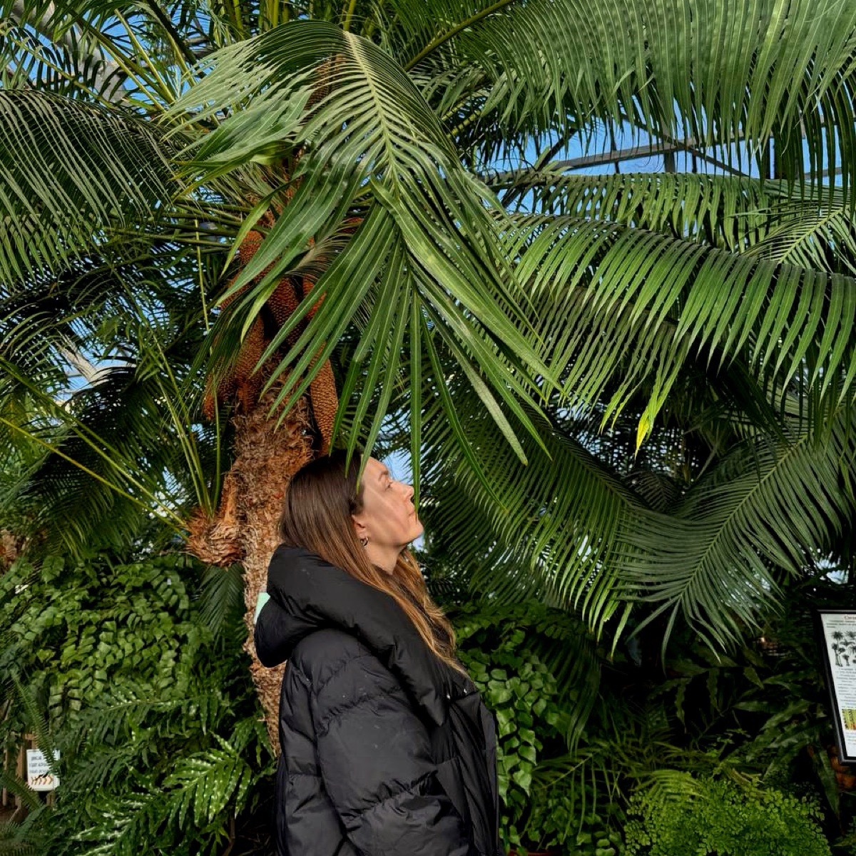 Анастасия Иконникова | Сетка — социальная сеть от hh.ru