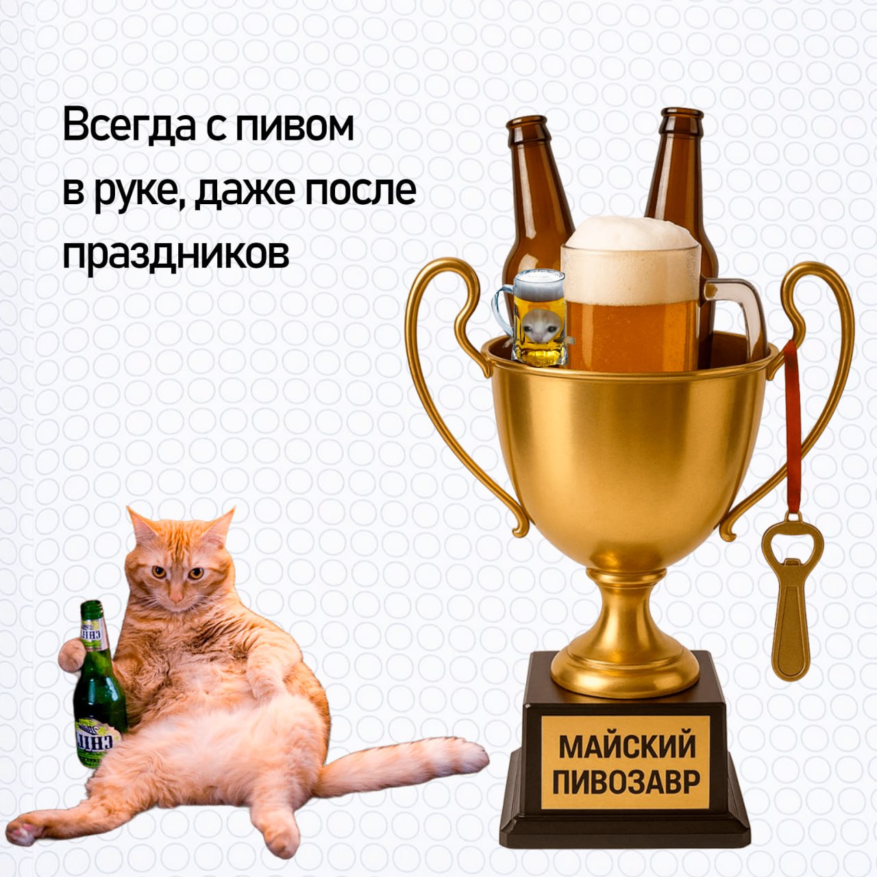 Подводим итоги майских — вручаем кубки самым продуктивным котикам | Сетка — социальная сеть от hh.ru