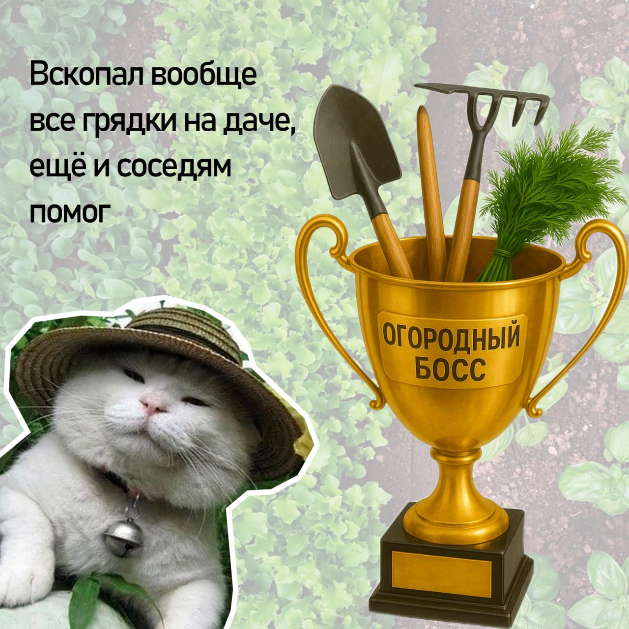 Подводим итоги майских — вручаем кубки самым продуктивным котикам | Сетка — социальная сеть от hh.ru