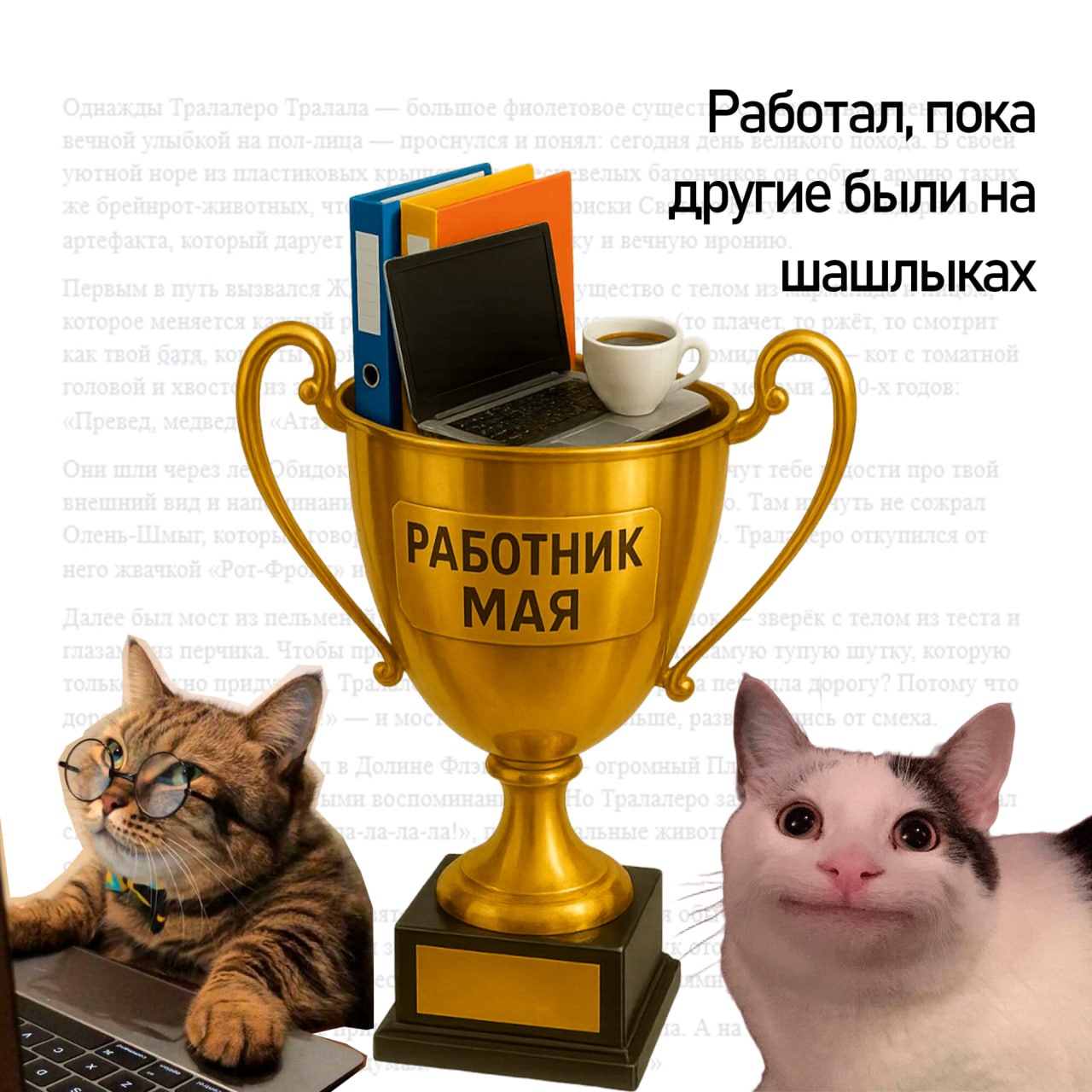 Подводим итоги майских — вручаем кубки самым продуктивным котикам | Сетка — социальная сеть от hh.ru