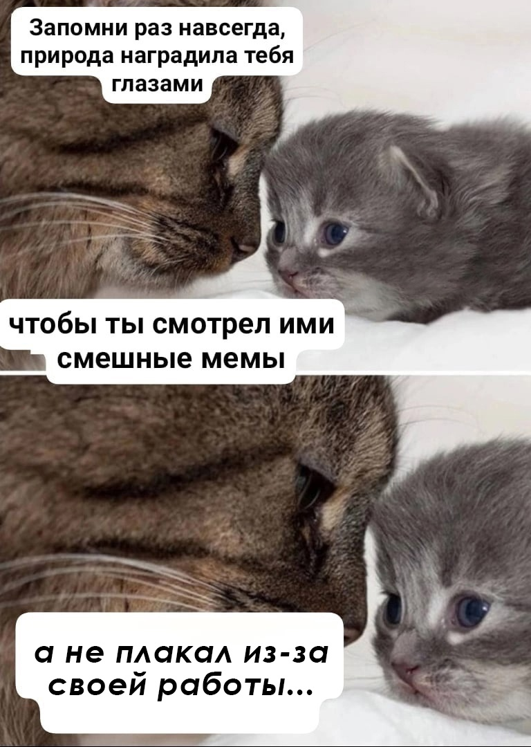 Сетка — социальная сеть от hh.ru