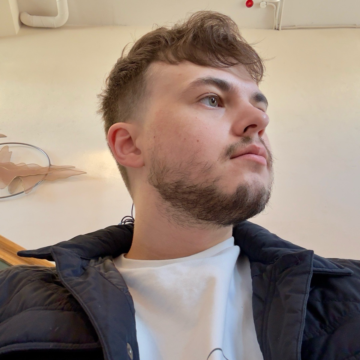 Леонид Бекиш | Сетка — социальная сеть от hh.ru