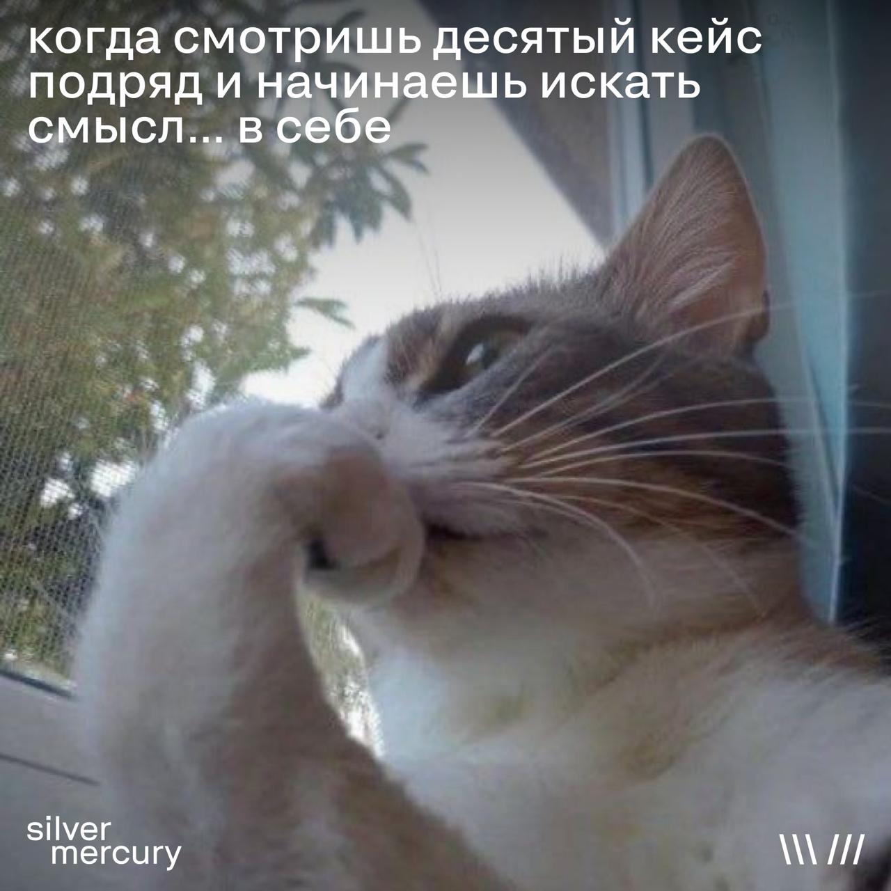 Коллеги, вы? | Сетка — социальная сеть от hh.ru