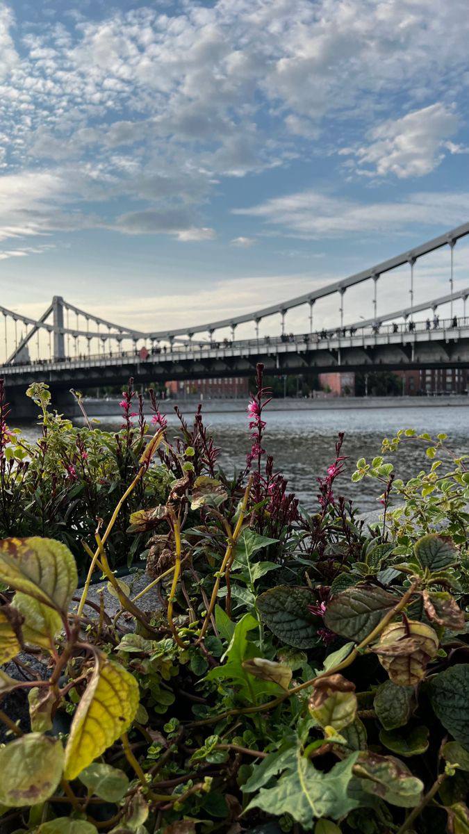 🌉Красивые мосты в Москве для вечерней прогулки
Московские прогулки приносят радость многим горожанам и гостям столицы | Сетка — социальная сеть от hh.ru