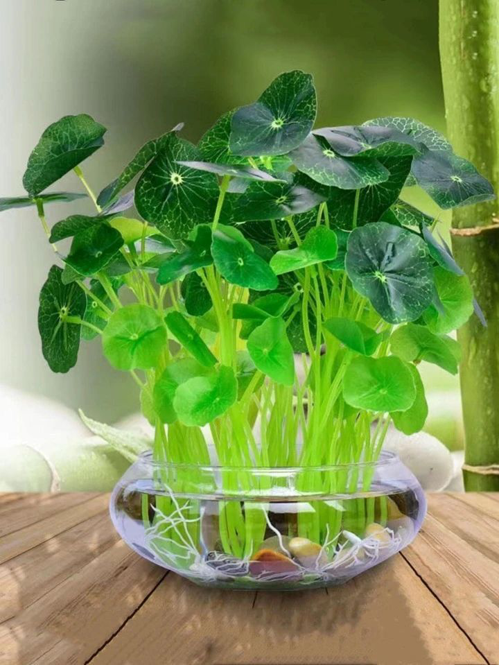 🌱 ЭКСПЕРИМЕНТ! МИКРОЗЕЛЕНЬ БЕЗ СВЕТА – МИФ ИЛИ РЕАЛЬНОСТЬ? 🤔
Мы решили проверить, можно ли вырастить микрозелень в полной темноте | Сетка — социальная сеть от hh.ru