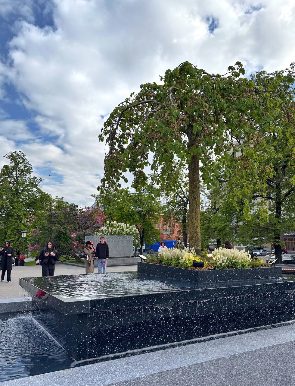 ⛲️ Два новых фонтана появились на Театральной площади у памятника Карлу Марксу
📲Подпишитесь на Вдвижении
#бесплатно | Сетка — социальная сеть от hh.ru