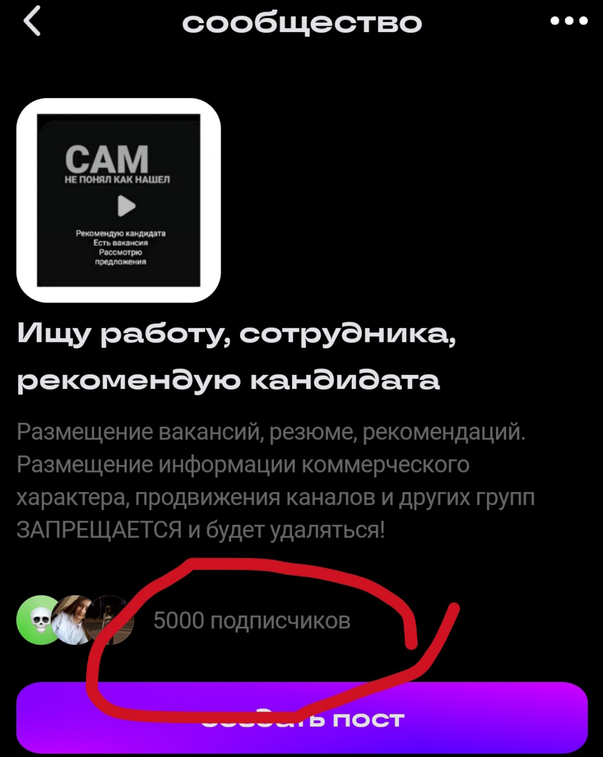 Друзья, нас 5000 !
Искренне надеюсь, что наше сообщество приносит пользу и результат! | Сетка — социальная сеть от hh.ru