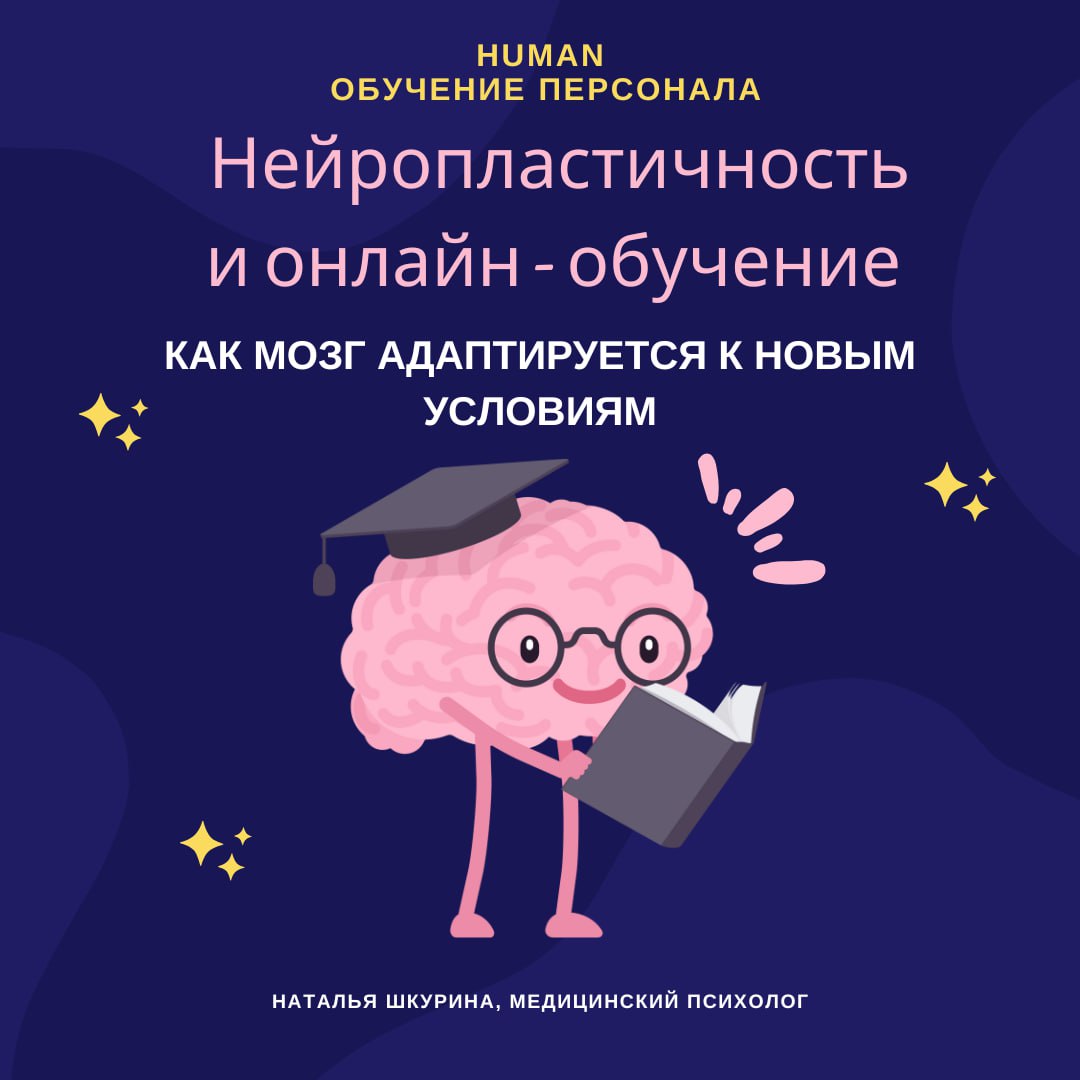 На конференции Human. Обучение Персонала выступала медицинский психолог Наталья Шкурина с очень важной темой — нейропластичность и её роль в обучении, особенно в онлайн-среде | Сетка — социальная сеть от hh.ru