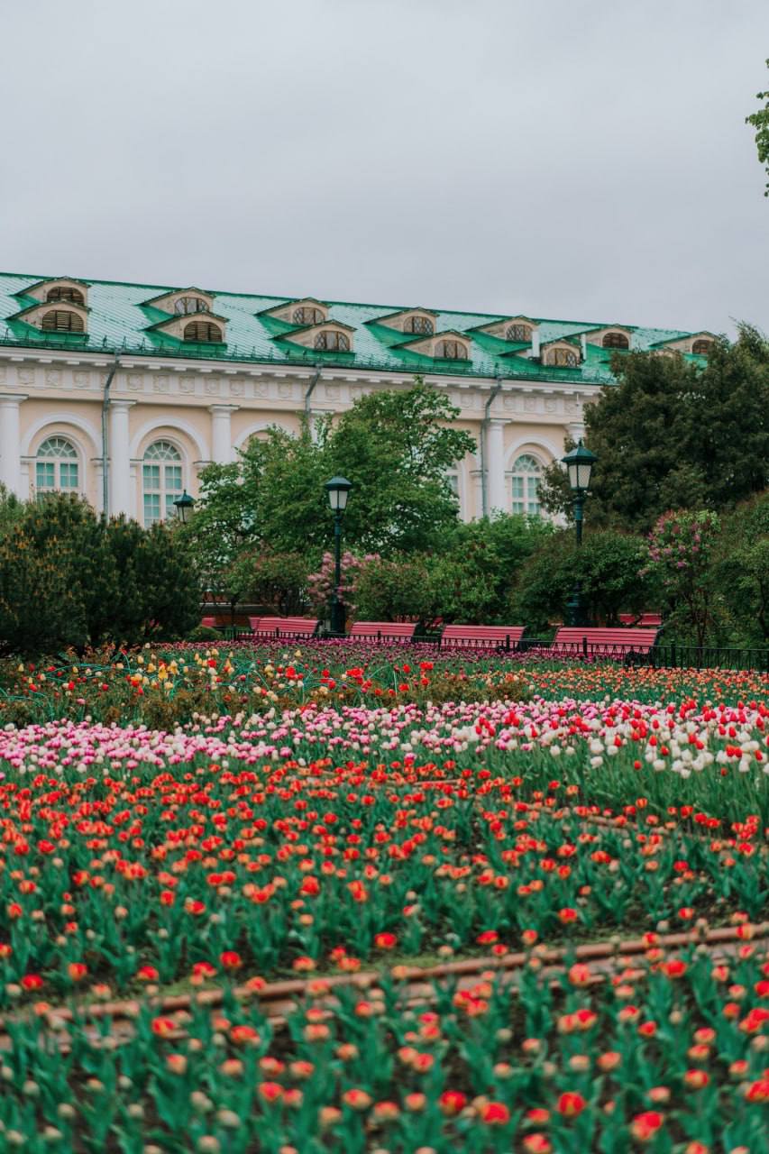 🌸Дождливая весна в Москве
📍Александровский сад
📲Подпишитесь на Вдвижении | Сетка — социальная сеть от hh.ru