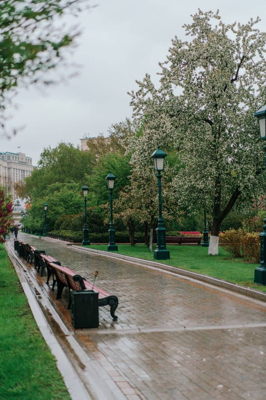 🌸Дождливая весна в Москве
📍Александровский сад
📲Подпишитесь на Вдвижении | Сетка — социальная сеть от hh.ru