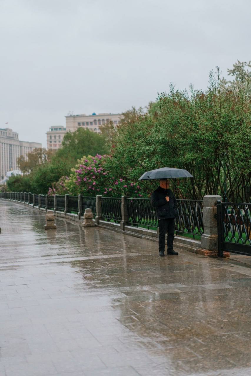 🌸Дождливая весна в Москве
📍Александровский сад
📲Подпишитесь на Вдвижении | Сетка — социальная сеть от hh.ru