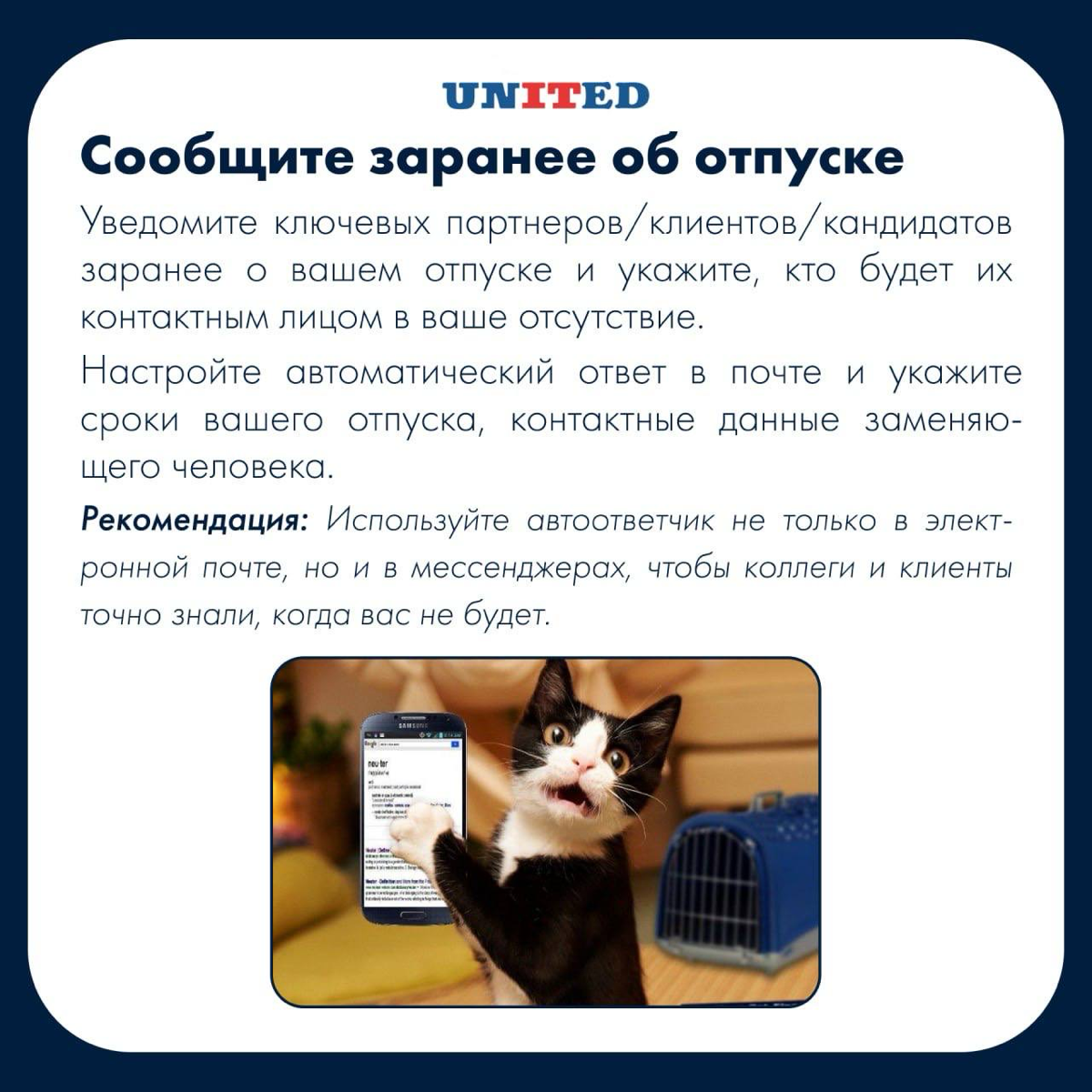 Уйти, нельзя бояться… | Сетка — социальная сеть от hh.ru