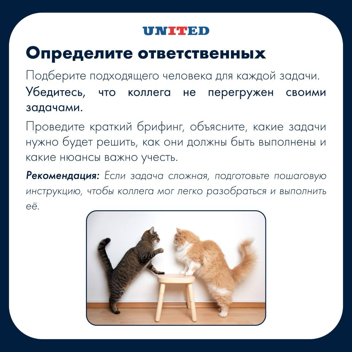 Уйти, нельзя бояться… | Сетка — социальная сеть от hh.ru