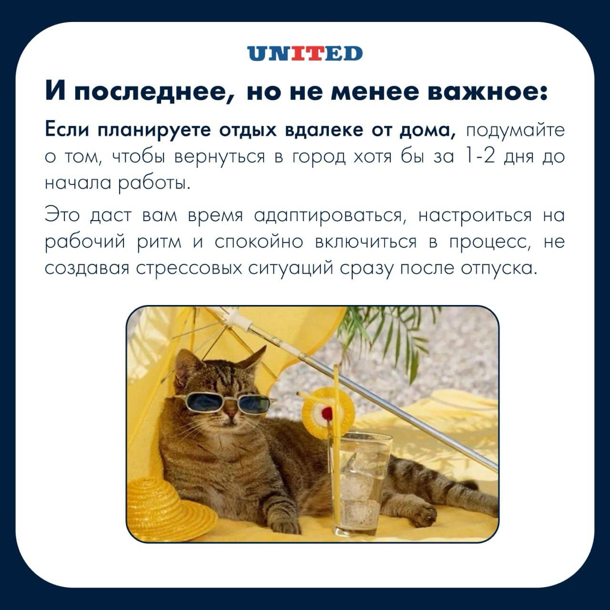 Уйти, нельзя бояться… | Сетка — социальная сеть от hh.ru