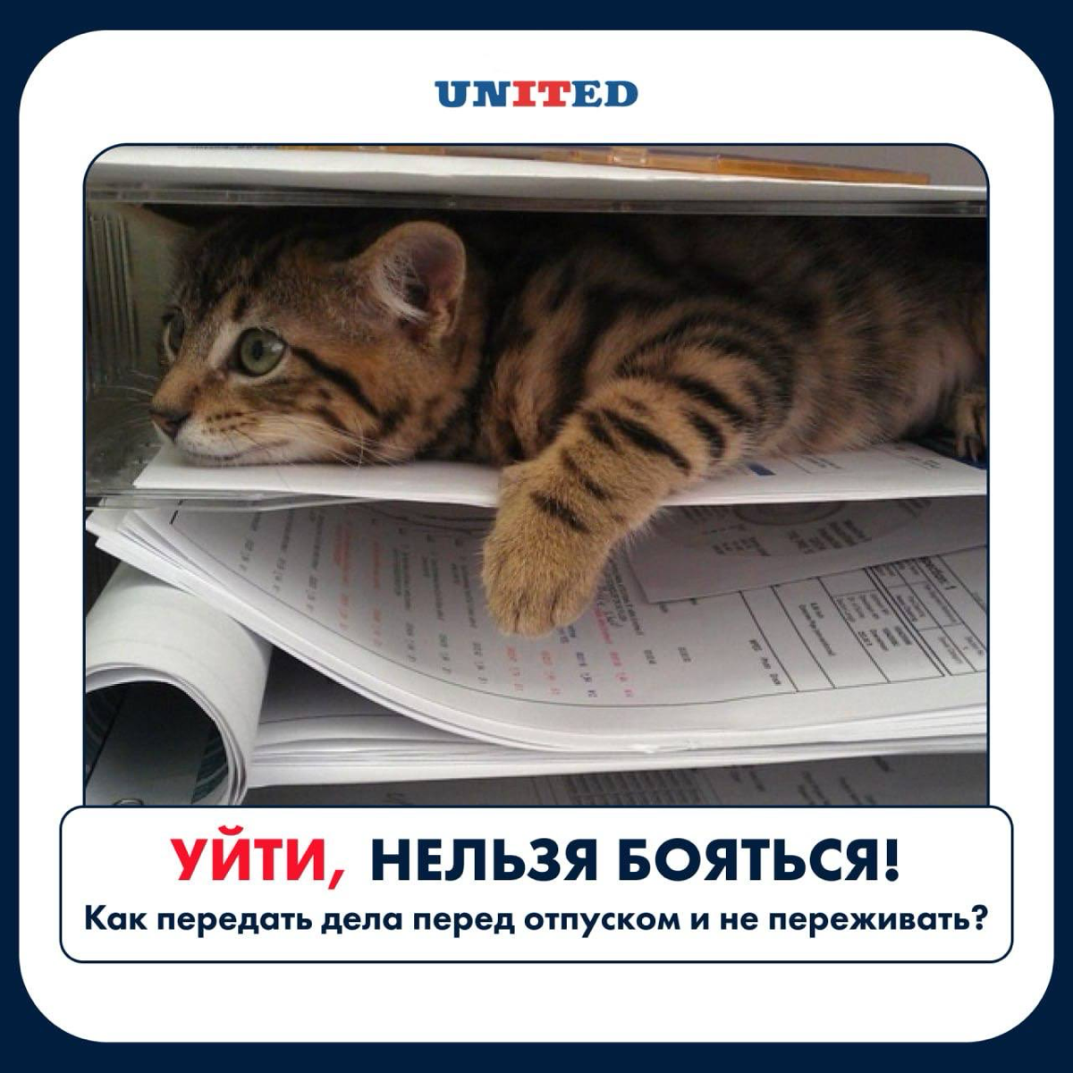 Уйти, нельзя бояться… | Сетка — социальная сеть от hh.ru