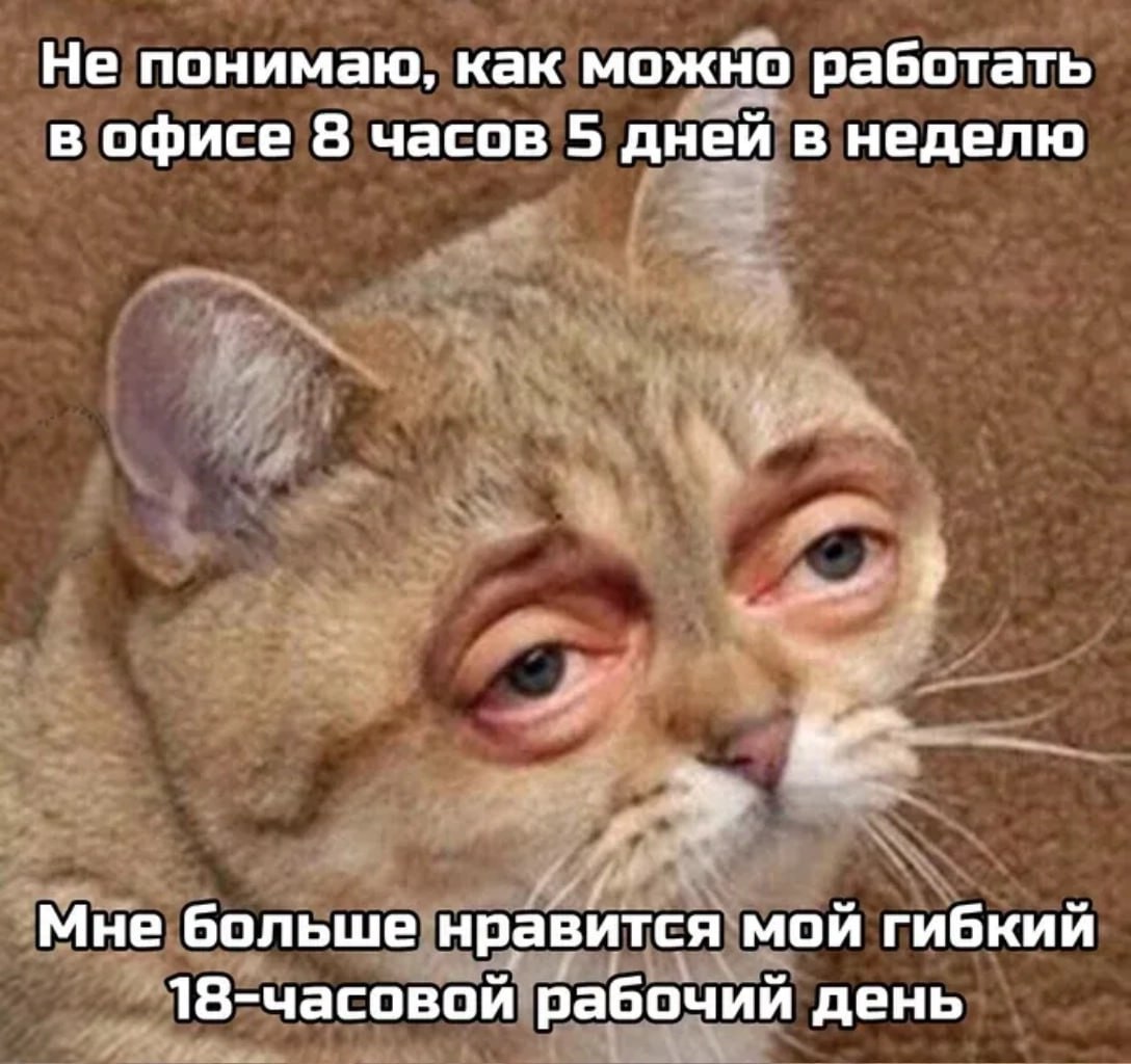 Всех с днем фрилансера! | Сетка — социальная сеть от hh.ru