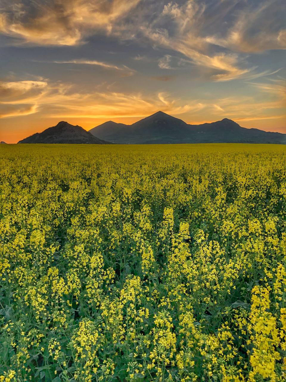 Рассвет на КМВ 🌅🌾
📸Фотограф Артём Мелетов | Сетка — социальная сеть от hh.ru