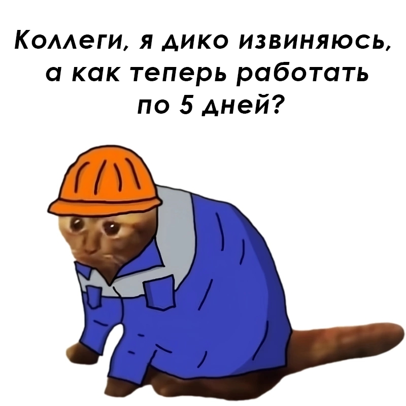 Не, ну реально 🥲 | Сетка — социальная сеть от hh.ru
