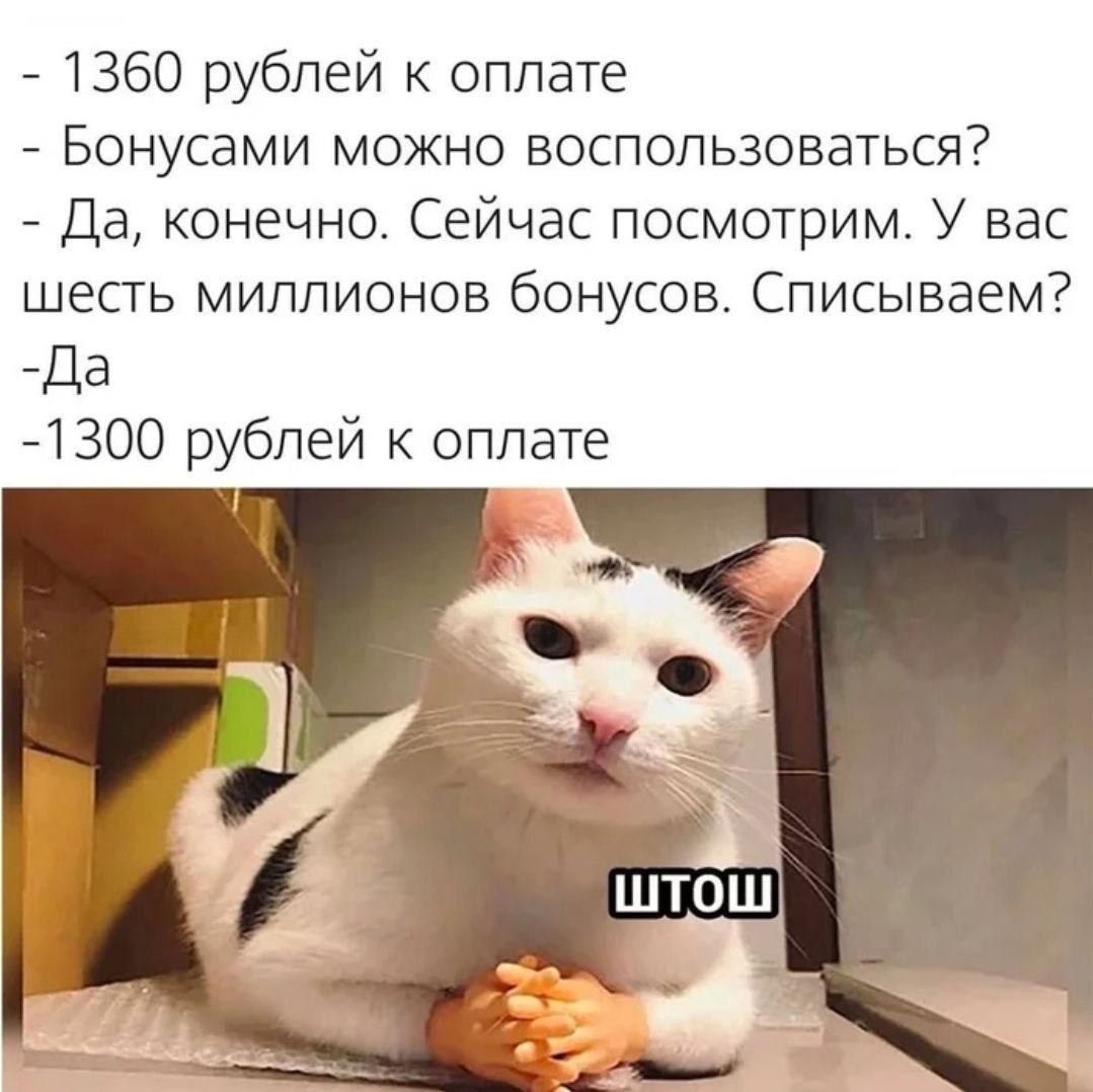 Немного о бонусной системе 😁 | Сетка — социальная сеть от hh.ru