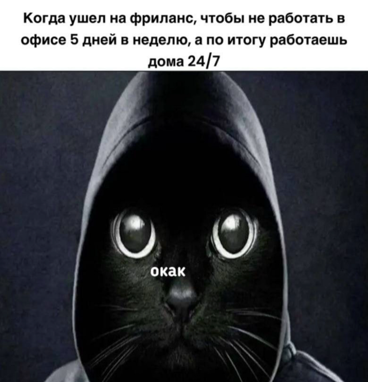 Окак | Сетка — социальная сеть от hh.ru