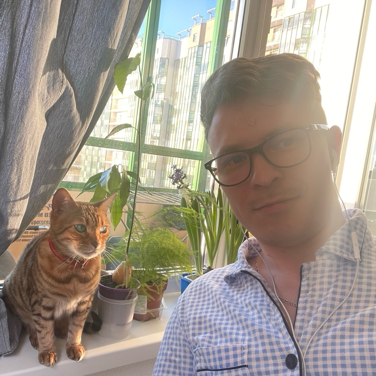 Network member avatar