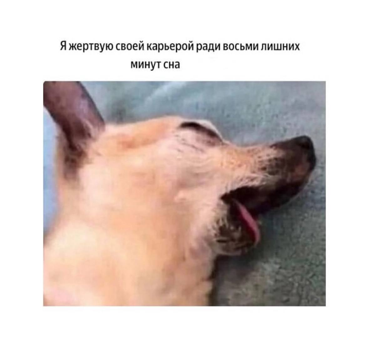 Традиционно: четверг — маленькая пятница 🤪 | Сетка — социальная сеть от hh.ru