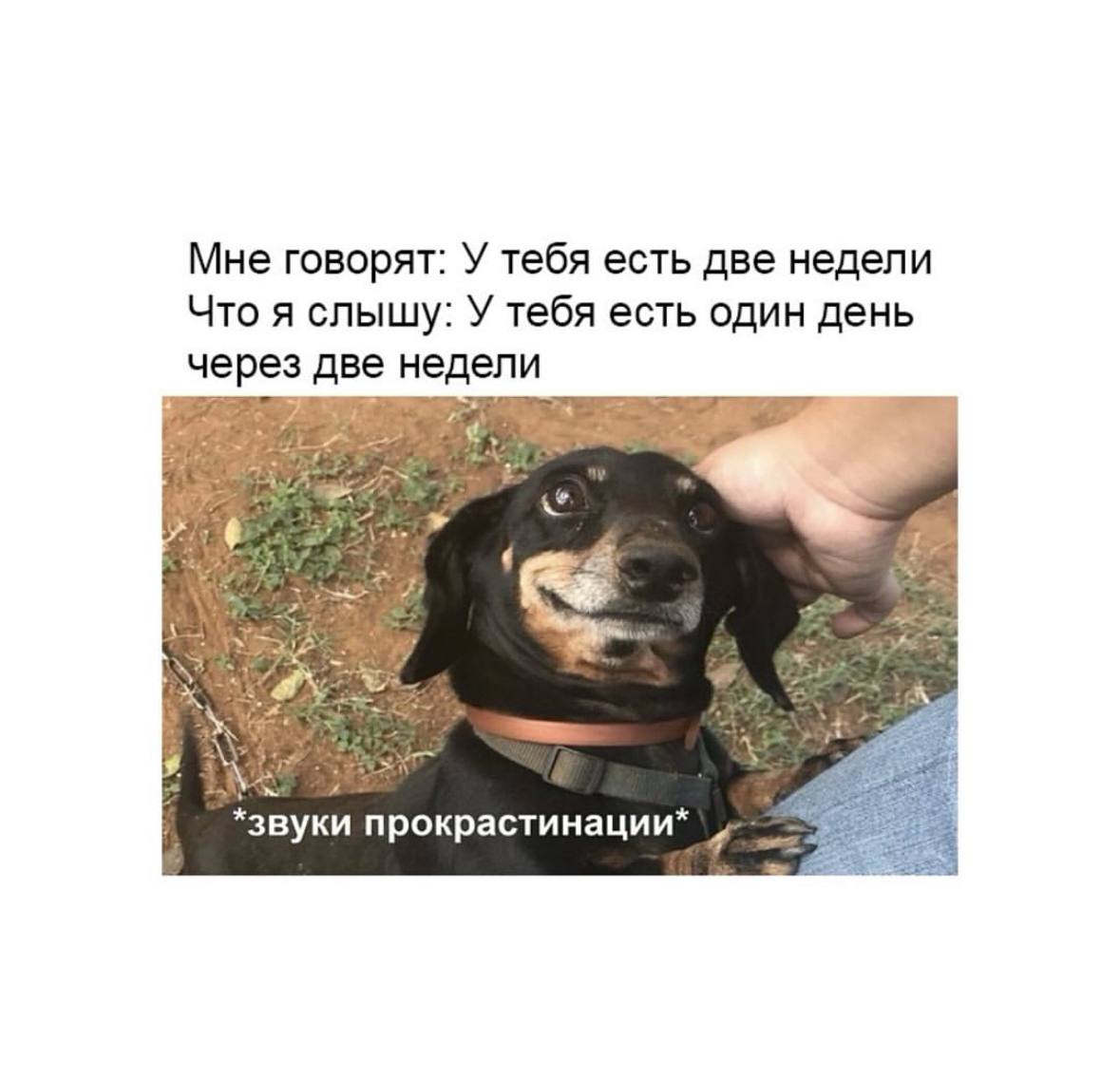 Традиционно: четверг — маленькая пятница 🤪 | Сетка — социальная сеть от hh.ru
