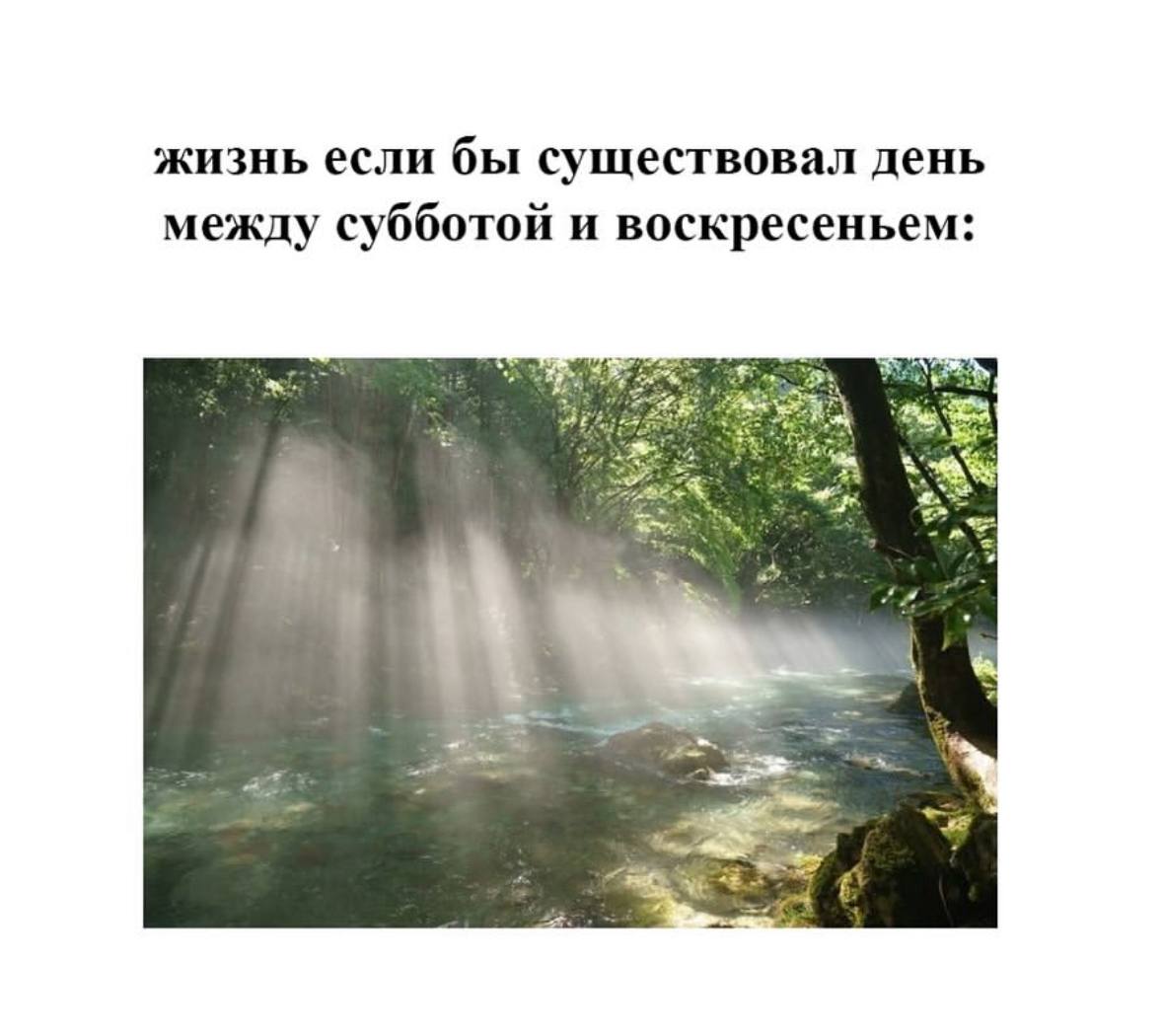 Традиционно: четверг — маленькая пятница 🤪 | Сетка — социальная сеть от hh.ru