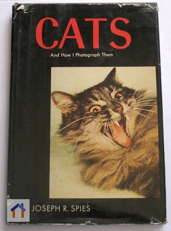 Книга "Котики и как я их фотографирую", Джозеф Спайс, 1958 г. | Сетка — социальная сеть от hh.ru