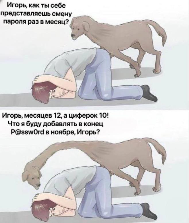 Когда опять прочитал всем лекцию по безопасности 😄 | Сетка — социальная сеть от hh.ru