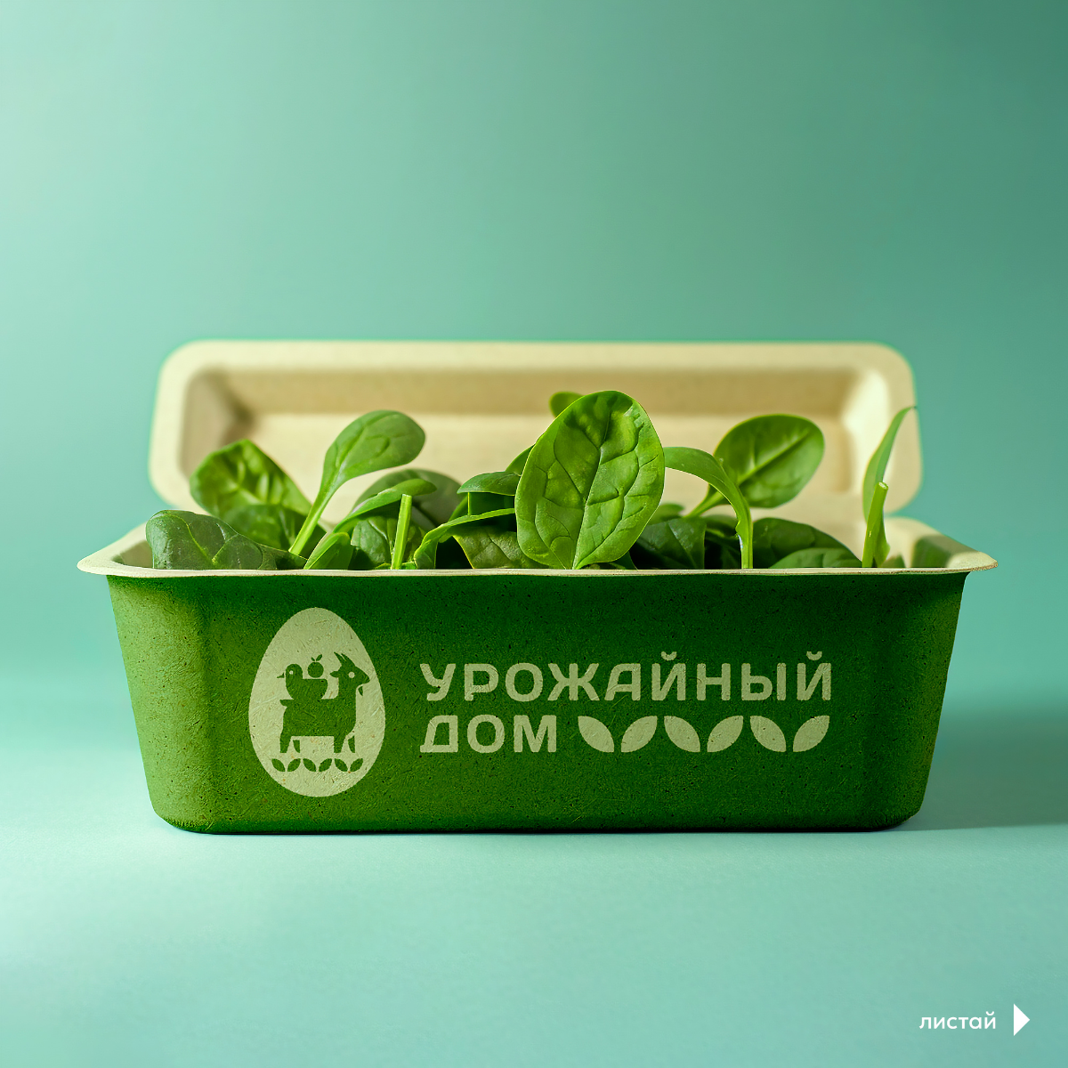 Кто в яйце? Кейс, знак для фермерского дома | Сетка — социальная сеть от hh.ru