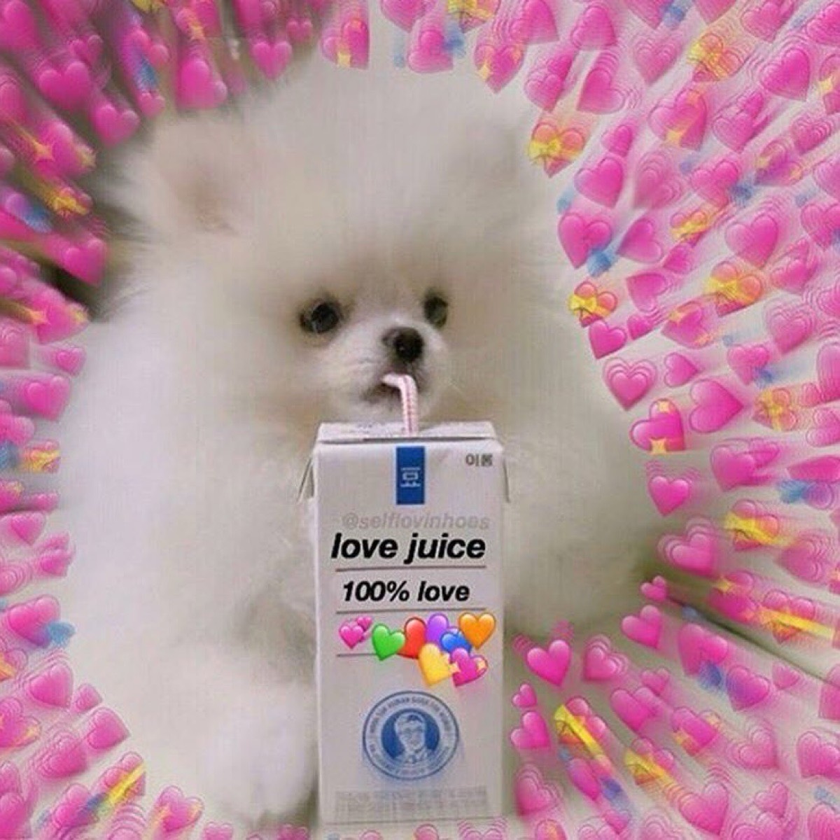 Kira Sutcliff